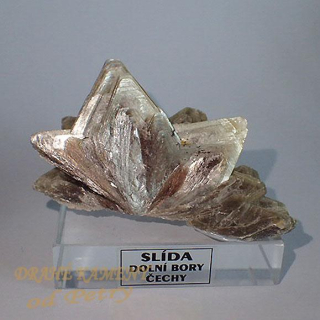 Slída z Čech 60x40mm