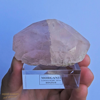 Morganit  z Brazílie 42x70mm