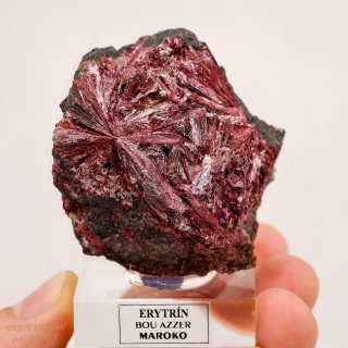 Erytrín z Maroka 54x52mm